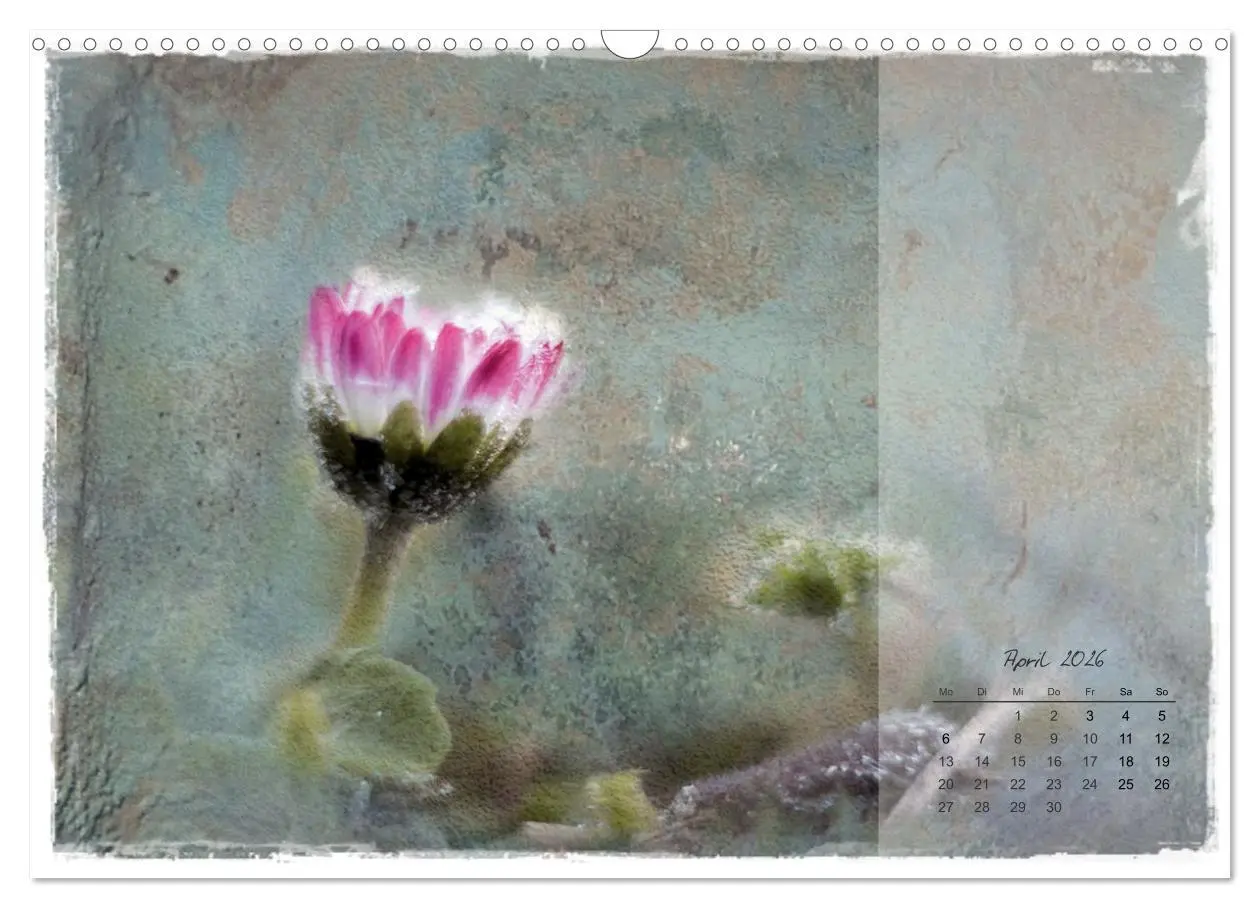 Bild: 9783457261712 | Blüte trifft auf Aquarell (Wandkalender 2026 DIN A3 quer), CALVENDO...