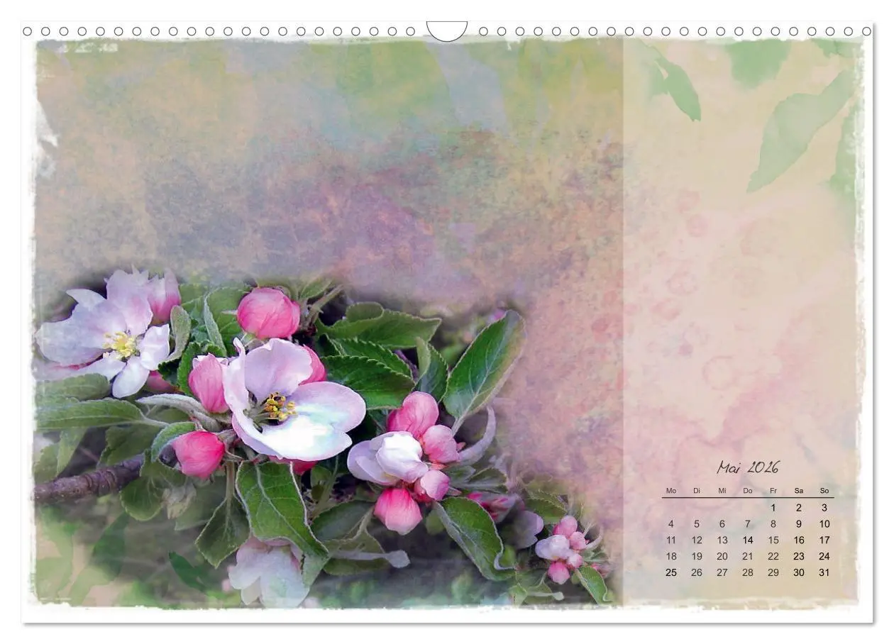 Bild: 9783457261712 | Blüte trifft auf Aquarell (Wandkalender 2026 DIN A3 quer), CALVENDO...