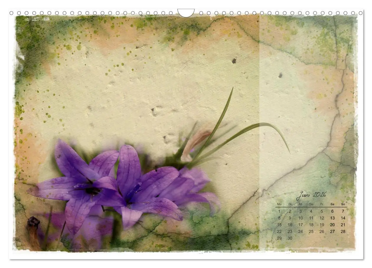 Bild: 9783457261712 | Blüte trifft auf Aquarell (Wandkalender 2026 DIN A3 quer), CALVENDO...