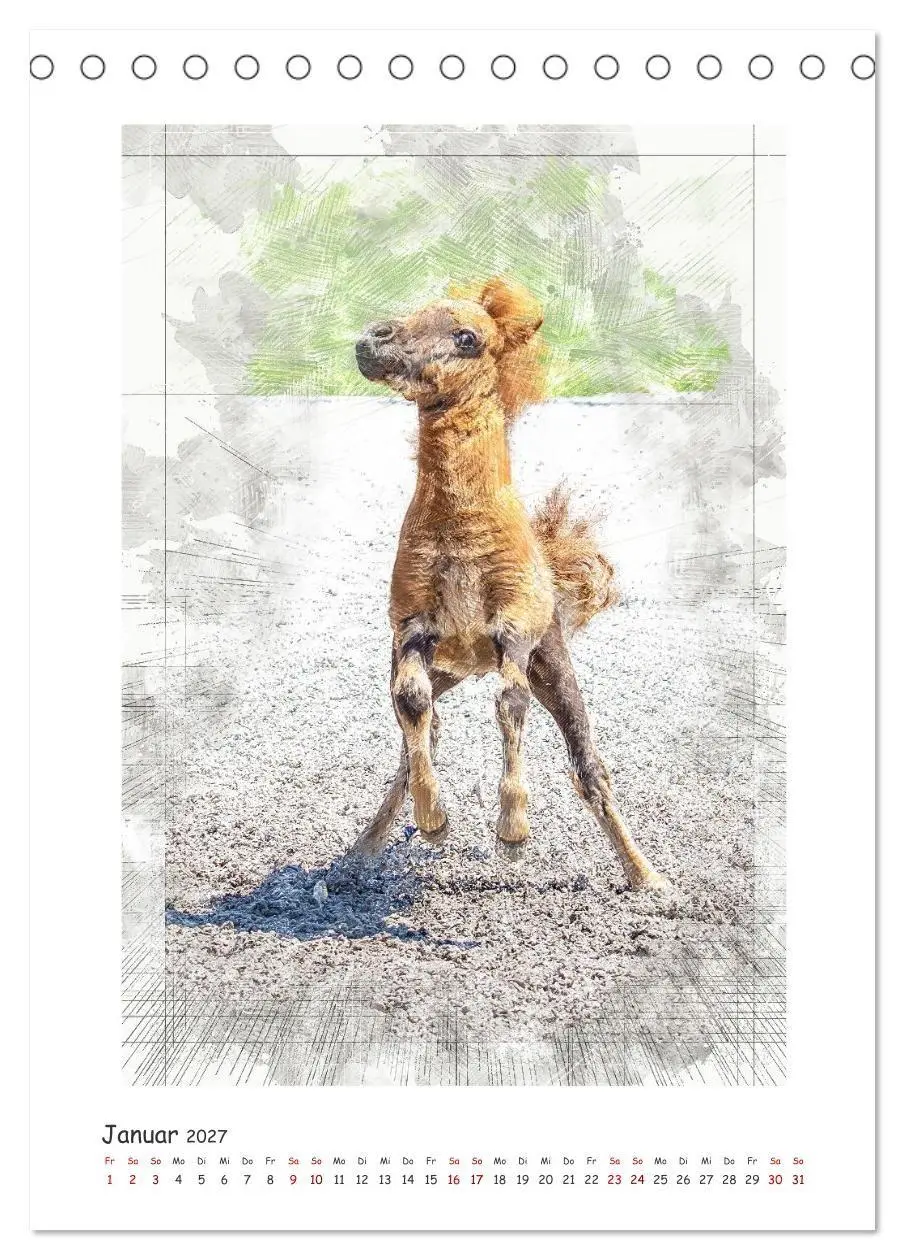 Bild: 9783516971712 | Lebensfreude pur: Fohlen (Tischkalender 2027 DIN A5 hoch), CALVENDO...
