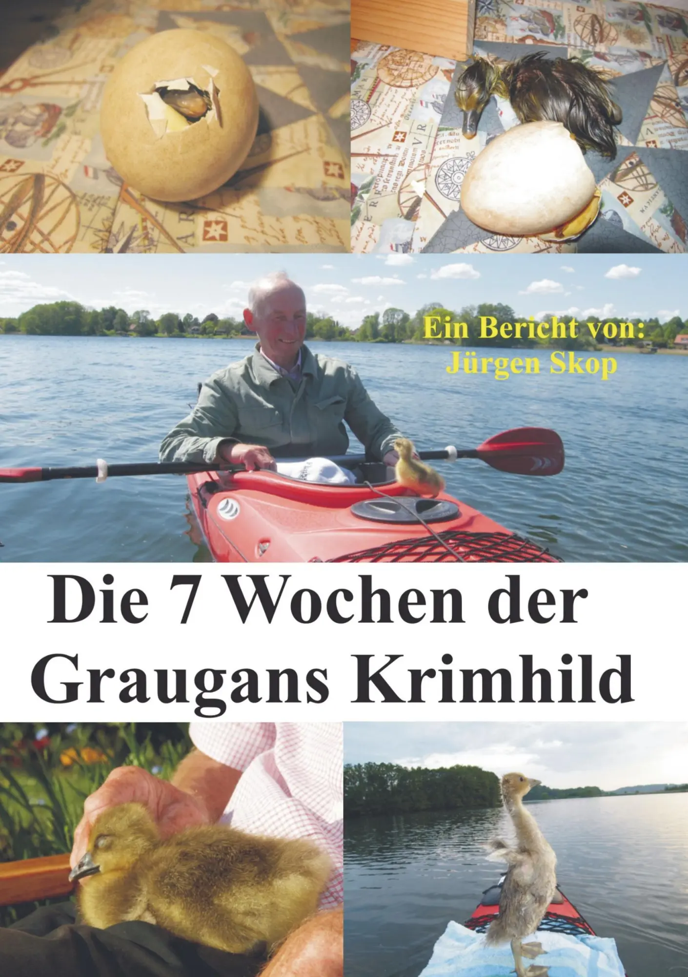 Cover: 9789463981712 | Die 7 Wochen der Graugans Krimhild. | Vom Ei bis zum Halbstarkenalter.