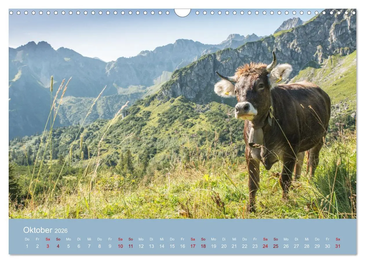 Bild: 9783457941812 | Heimweh Allgäu 2026 (Wandkalender 2026 DIN A3 quer), CALVENDO...