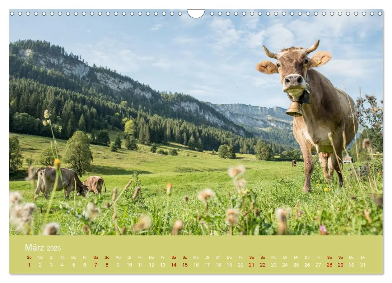 Bild: 9783457941812 | Heimweh Allgäu 2026 (Wandkalender 2026 DIN A3 quer), CALVENDO...