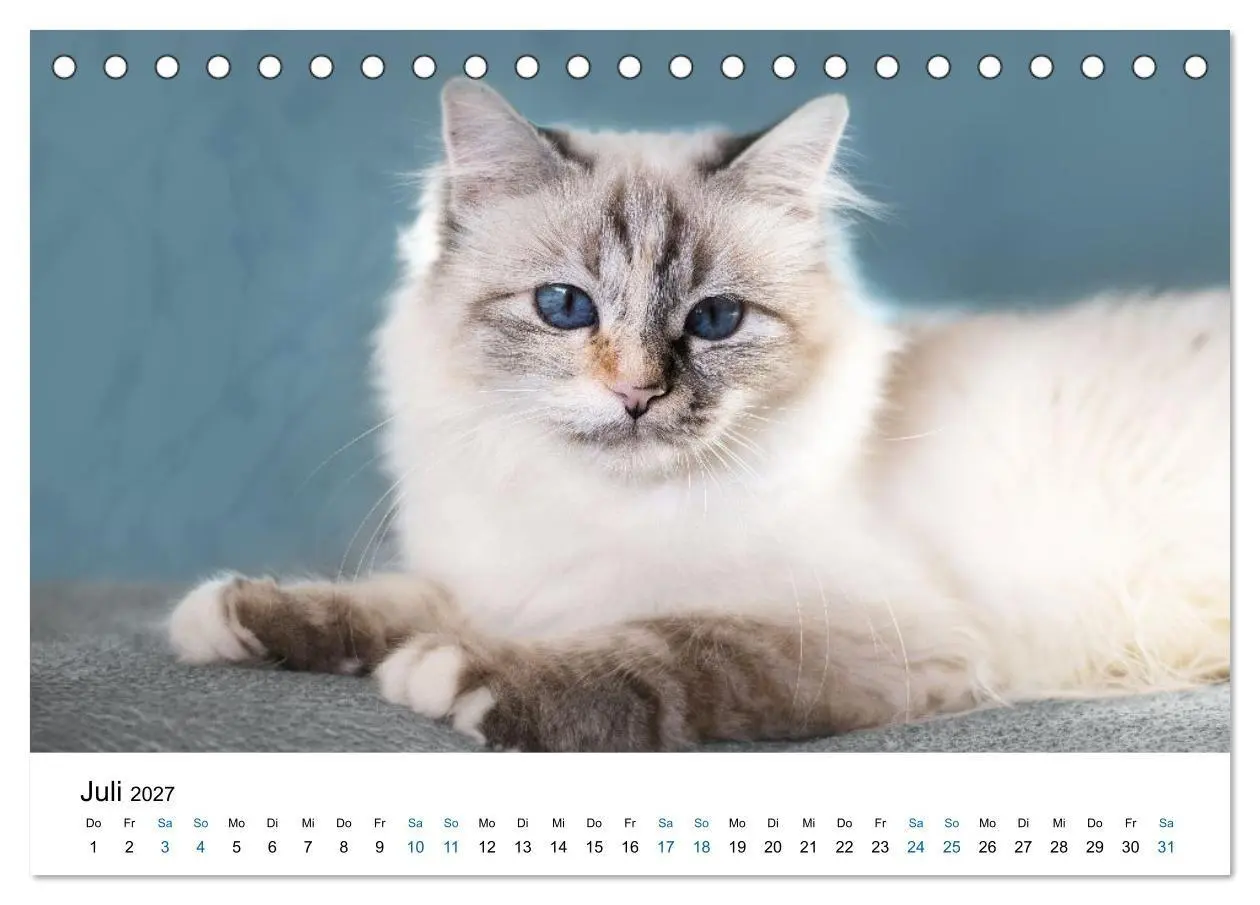 Bild: 9783569121812 | Heilige Birma Katzen - flauschig, anhänglich und wunderschön...