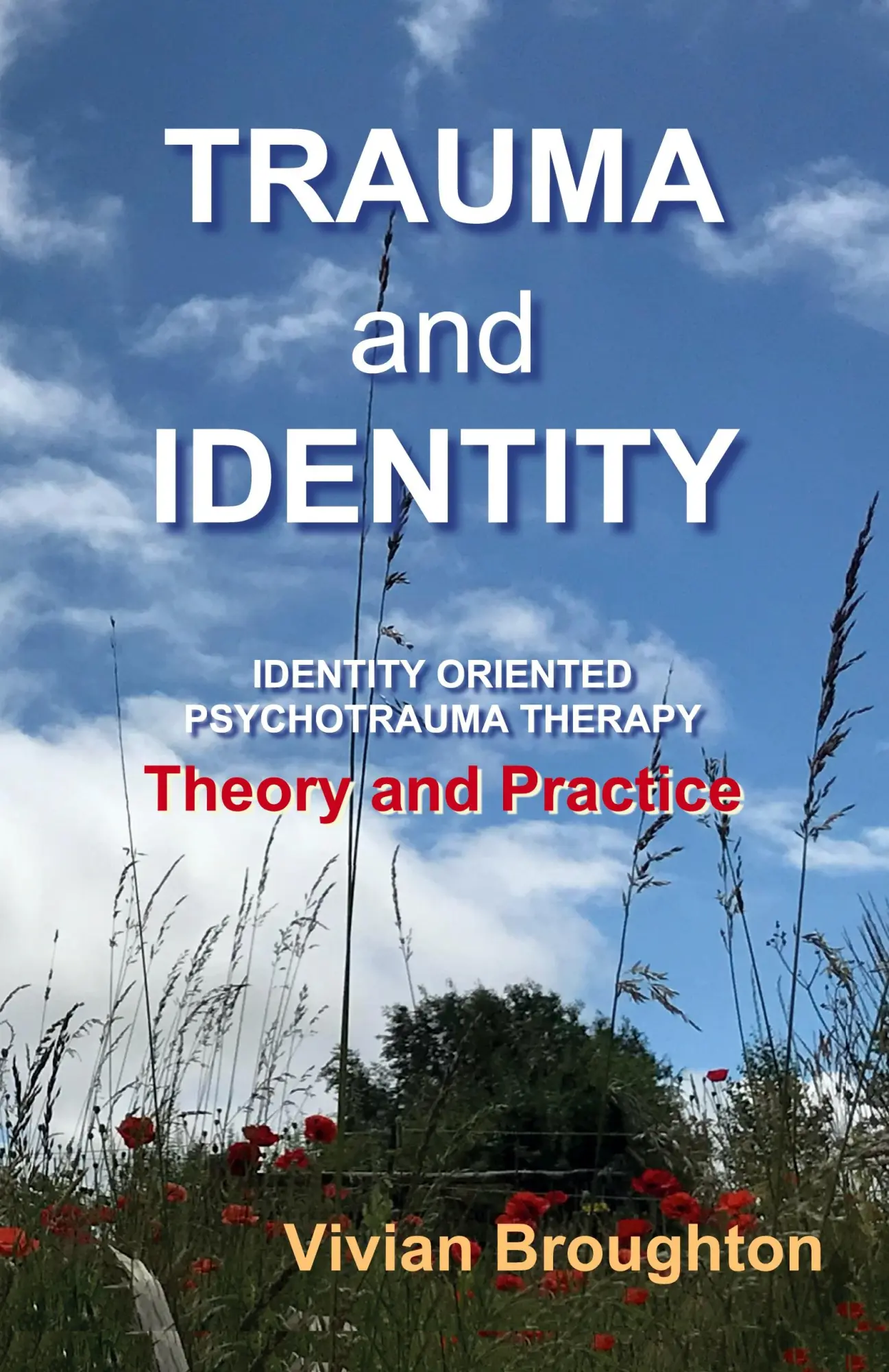 Cover: 9781838141912 | Trauma and Identity | Vivian Broughton | Taschenbuch | Englisch | 2021
