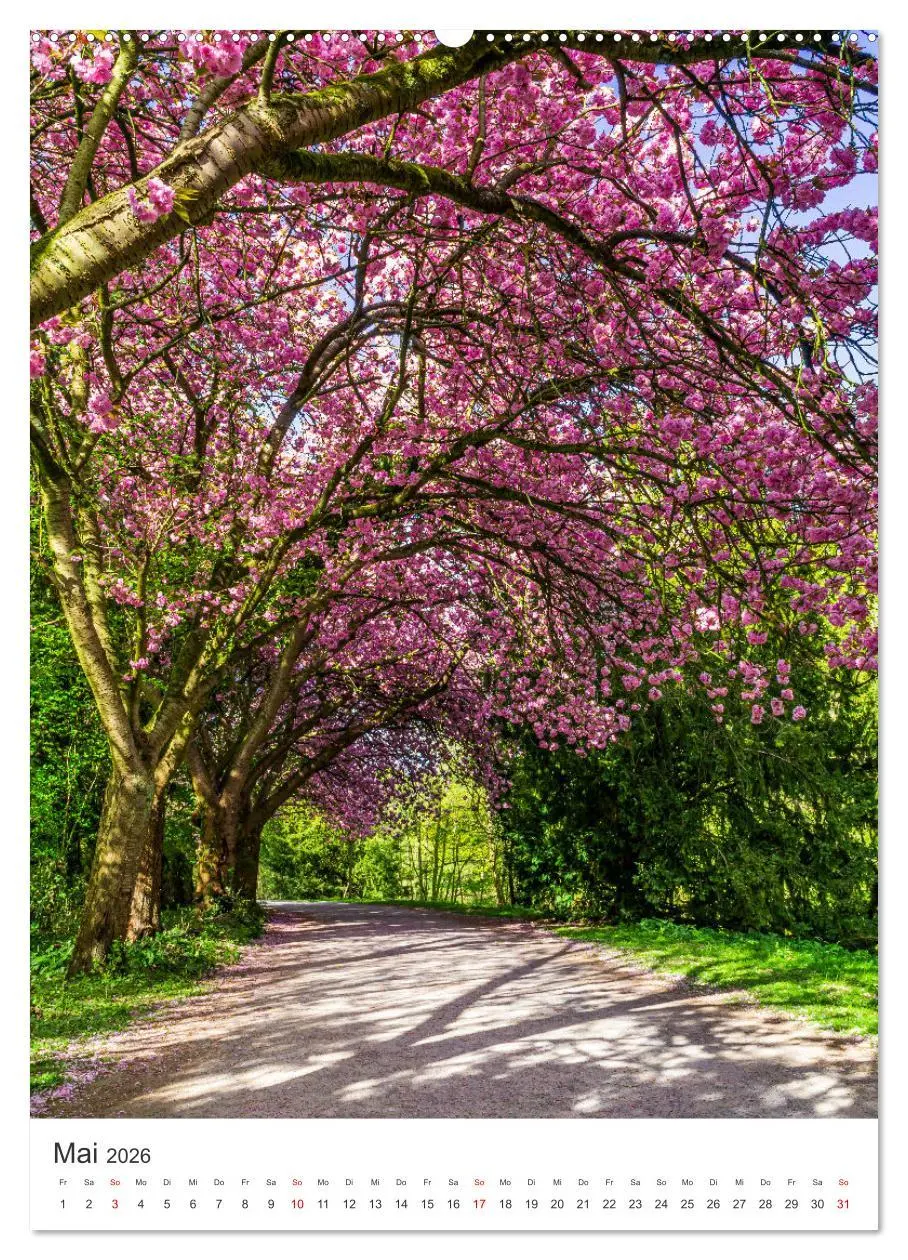 Bild: 9783516331912 | Münster - stimmungsvoll und harmonisch (hochwertiger Premium...