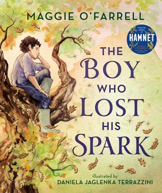 Cover: 9781406392012 | The Boy Who Lost His Spark | Maggie O'Farrell | Buch | Gebunden | 2022