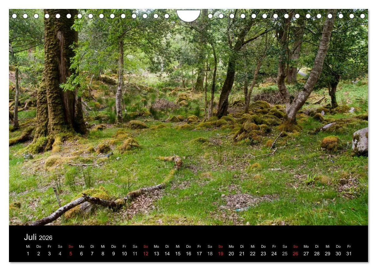 Bild: 9783516152012 | Unterwegs in Irland (Wandkalender 2026 DIN A4 quer), CALVENDO...