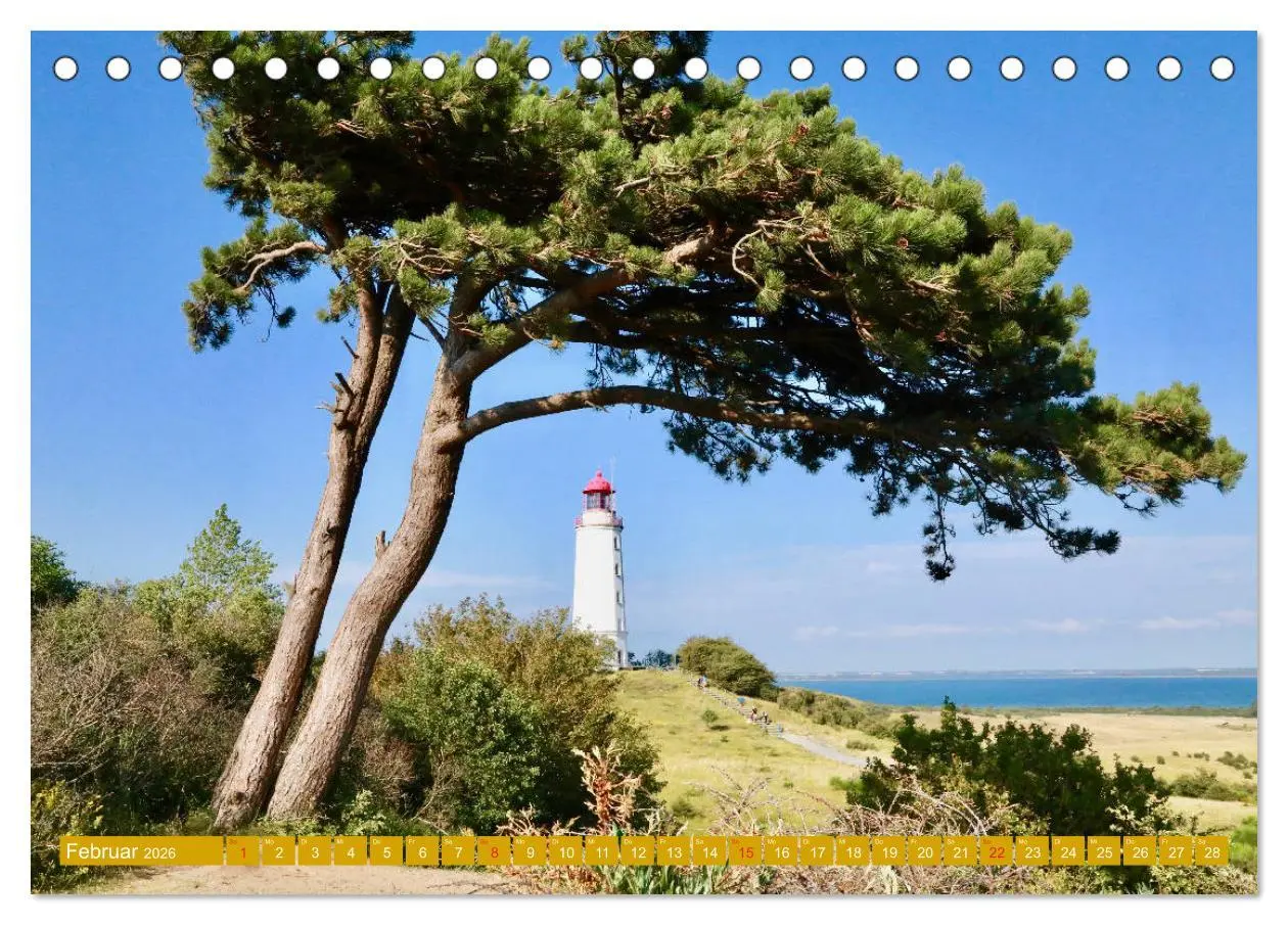 Bild: 9783457802212 | Insel Hiddensee - Stimmungen und Sehnsüchte (Tischkalender 2026 DIN...