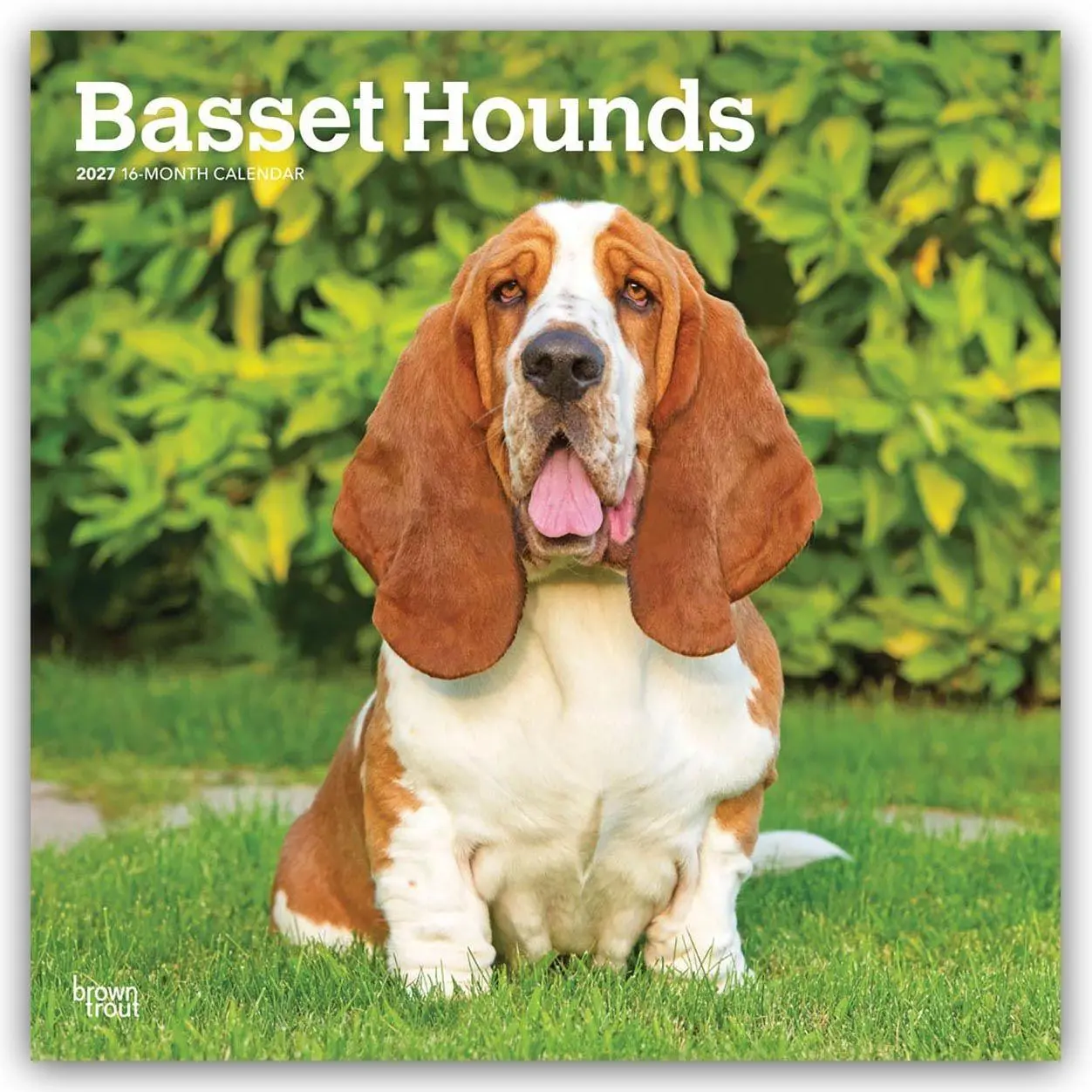 Cover: 9798330712212 | Basset Hounds 2027 - 16-Monatskalender | Browntrout Publishers | 28 S.