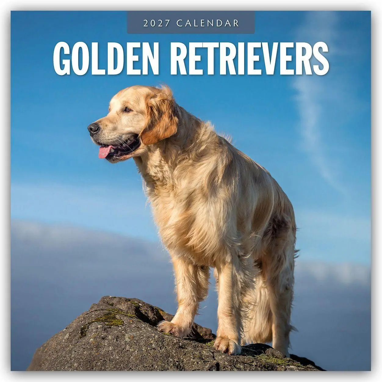 Cover: 9781837012312 | Golden Retrievers - Golden Retriever 2027 - 16-Monatskalender | Red