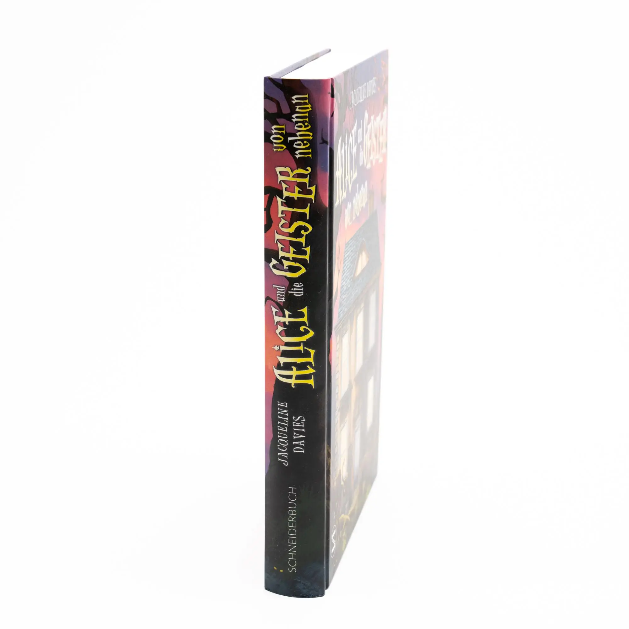 Bild: 9783505152412 | Alice und die Geister von nebenan | Jacqueline Davies | Buch | 272 S.