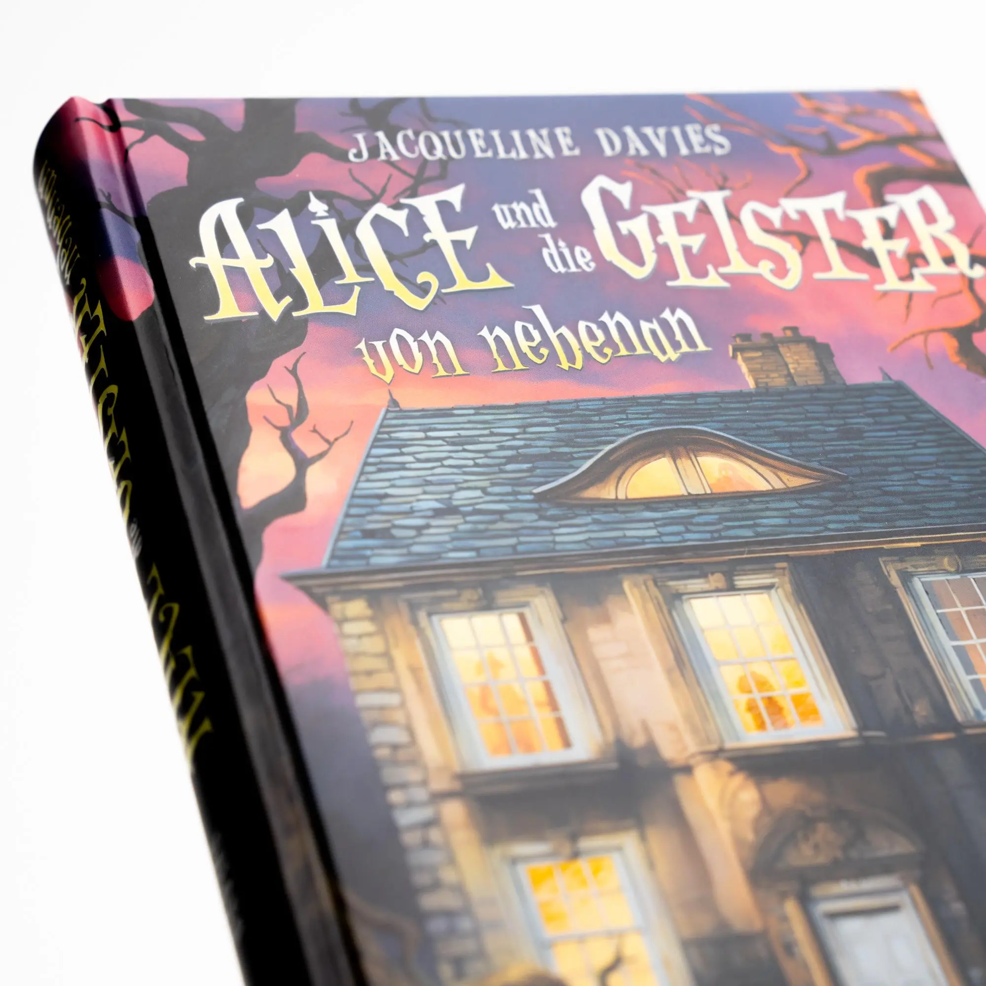 Bild: 9783505152412 | Alice und die Geister von nebenan | Jacqueline Davies | Buch | 272 S.