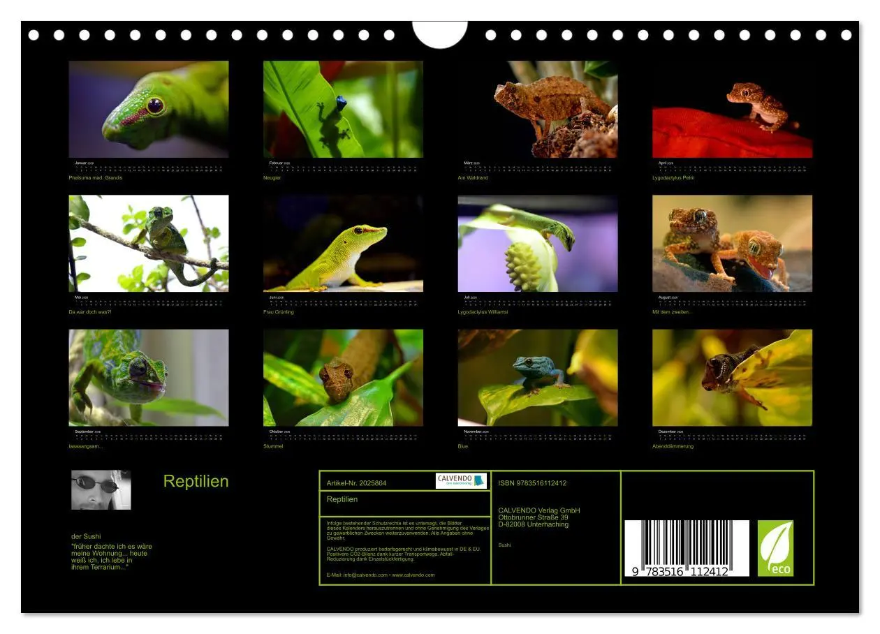 Bild: 9783516112412 | Reptilien (Wandkalender 2026 DIN A4 quer), CALVENDO Monatskalender