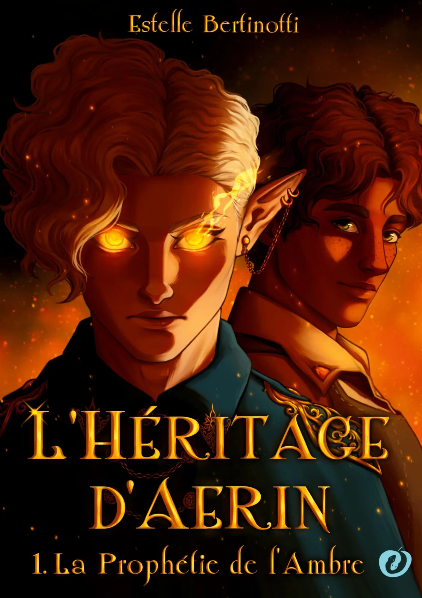 Cover: 9782487122512 | L'Héritage d'Aerin | La Prophétie de l'Ambre | Estelle Bertinotti