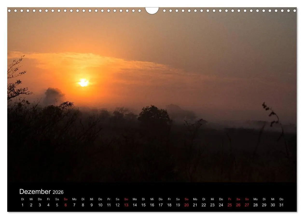 Bild: 9783516032512 | Wunderschönes Südafrika (Wandkalender 2026 DIN A3 quer), CALVENDO...