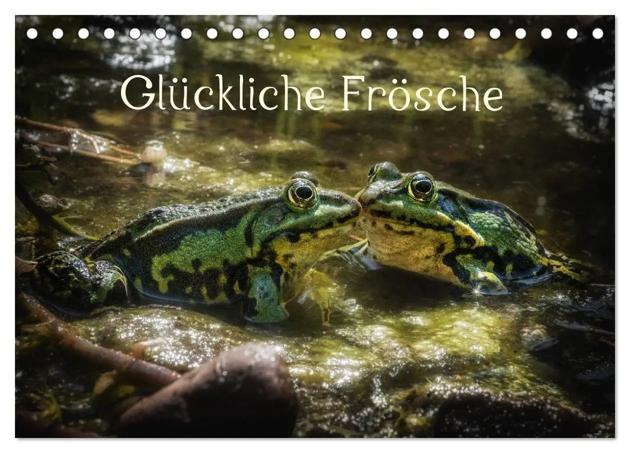 Cover: 9783569742512 | Glückliche Frösche (Tischkalender 2027 DIN A5 quer), CALVENDO...