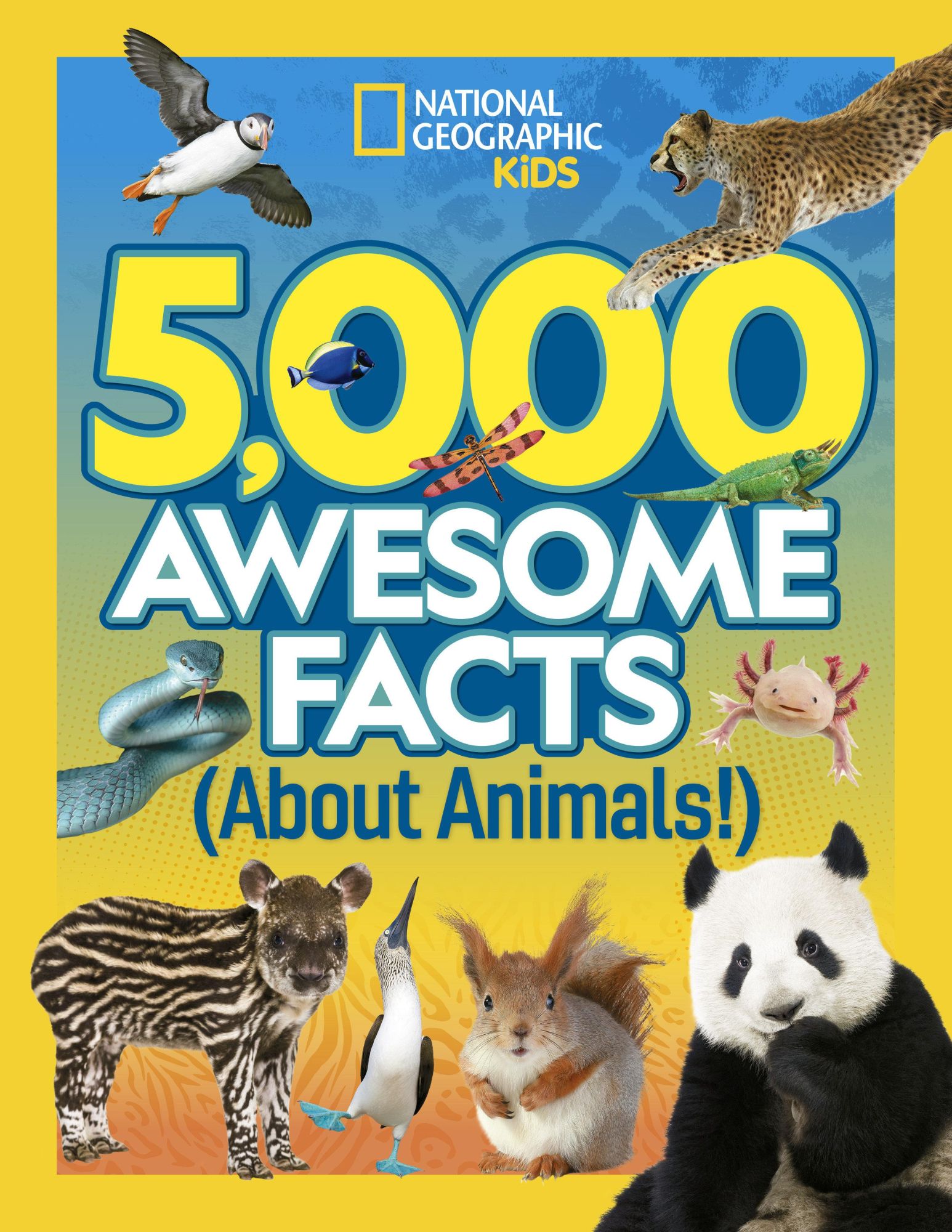 Cover: 9781426372612 | 5,000 Awesome Facts (about Animals!) | National Geographic | Buch