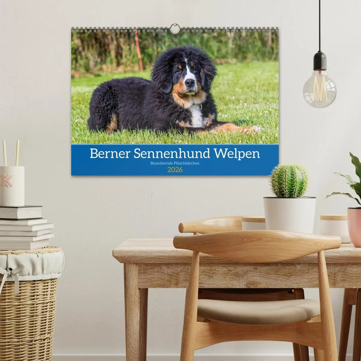 Bild: 9783457552612 | Berner Sennenhund Welpen - Bezaubernde Plüschbärchen (Wandkalender...