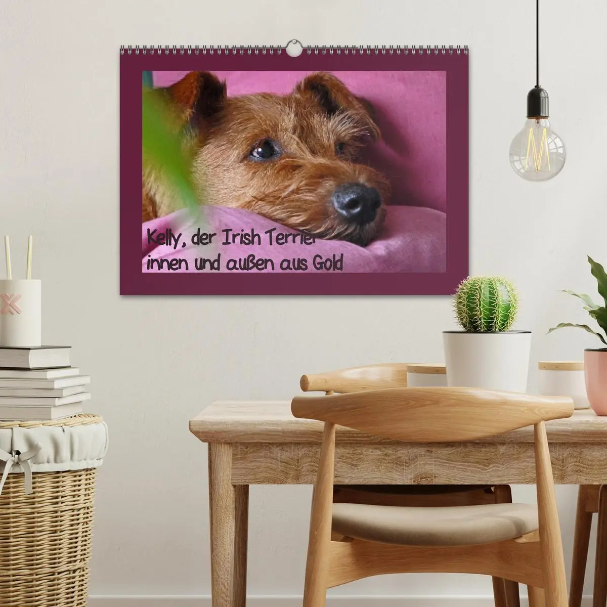Bild: 9783457932612 | Kelly, der Irish Terrier - innen und außen aus Gold (Wandkalender...