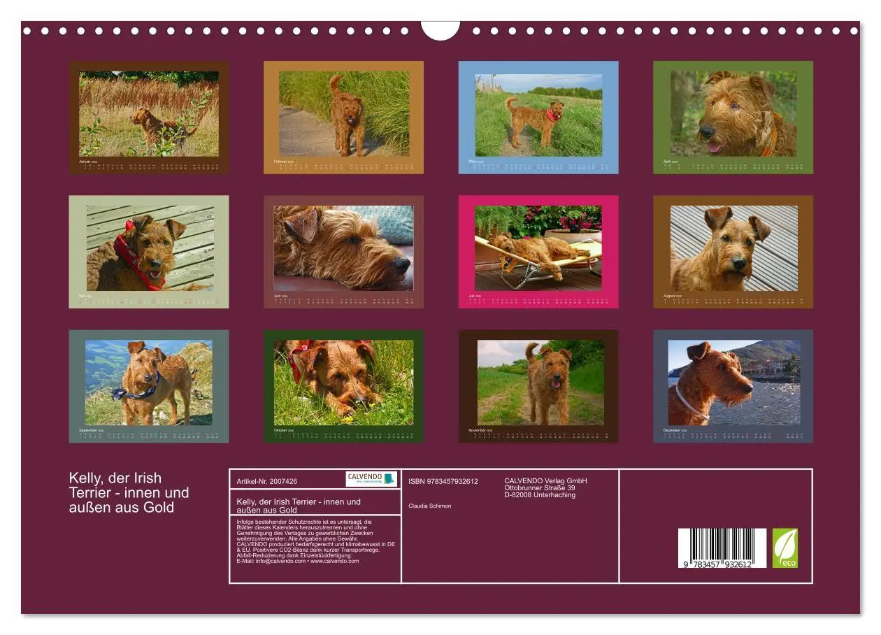 Bild: 9783457932612 | Kelly, der Irish Terrier - innen und außen aus Gold (Wandkalender...