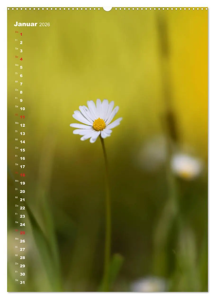 Bild: 9783516402612 | Colors of Nature (Wandkalender 2026 DIN A2 hoch), CALVENDO...