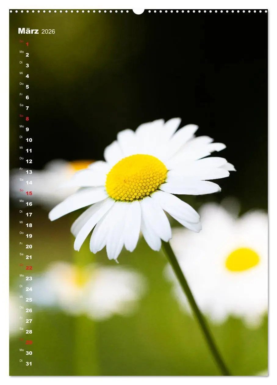 Bild: 9783516402612 | Colors of Nature (Wandkalender 2026 DIN A2 hoch), CALVENDO...