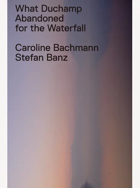 Cover: 9783858812612 | What Duchamp Abandoned for the Waterfall | Dt/engl/frz | Bachmann
