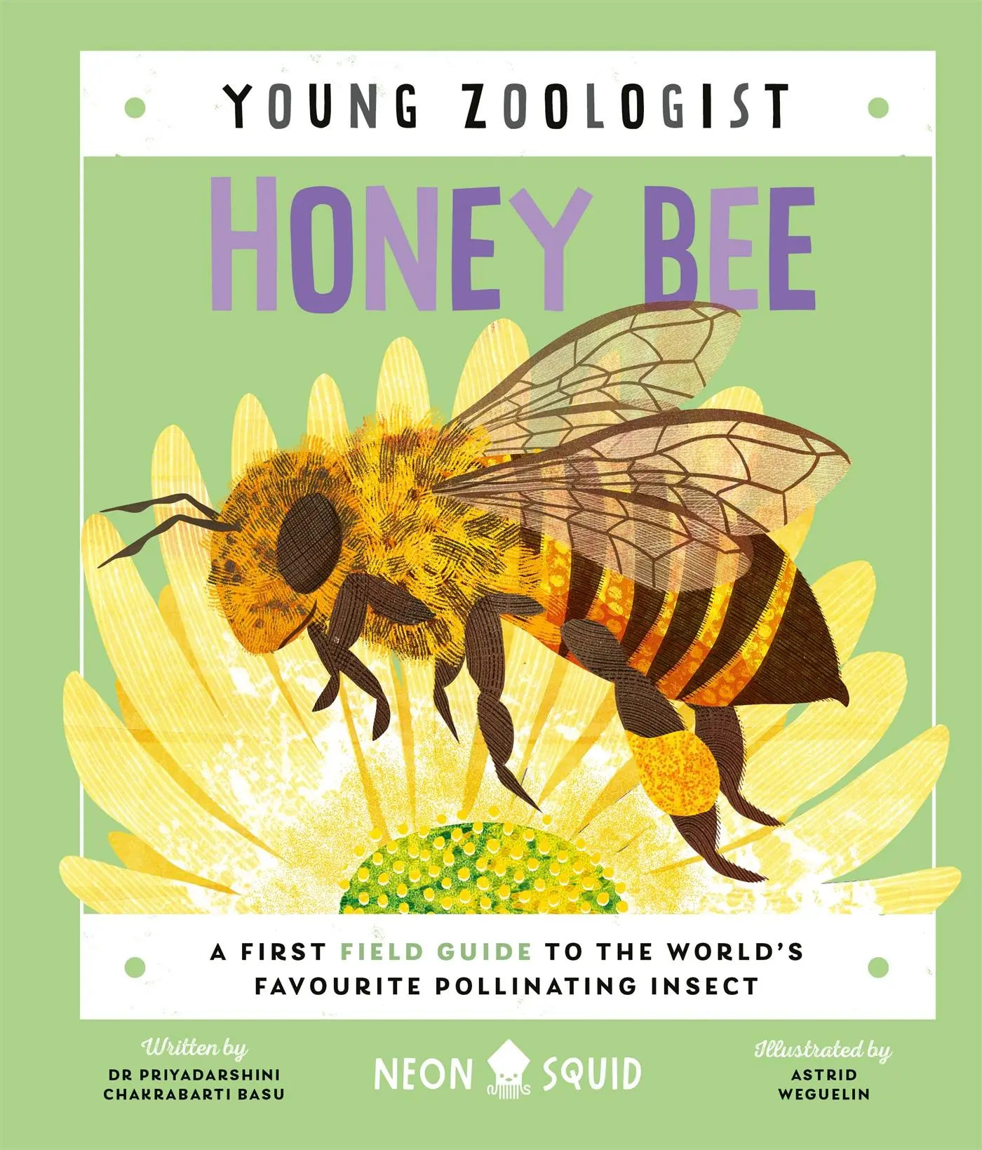 Cover: 9781838992712 | Honey Bee (Young Zoologist) | Neon Squid (u. a.) | Buch | Englisch