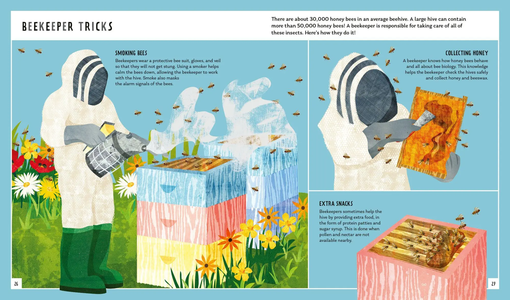Bild: 9781838992712 | Honey Bee (Young Zoologist) | Neon Squid (u. a.) | Buch | Gebunden