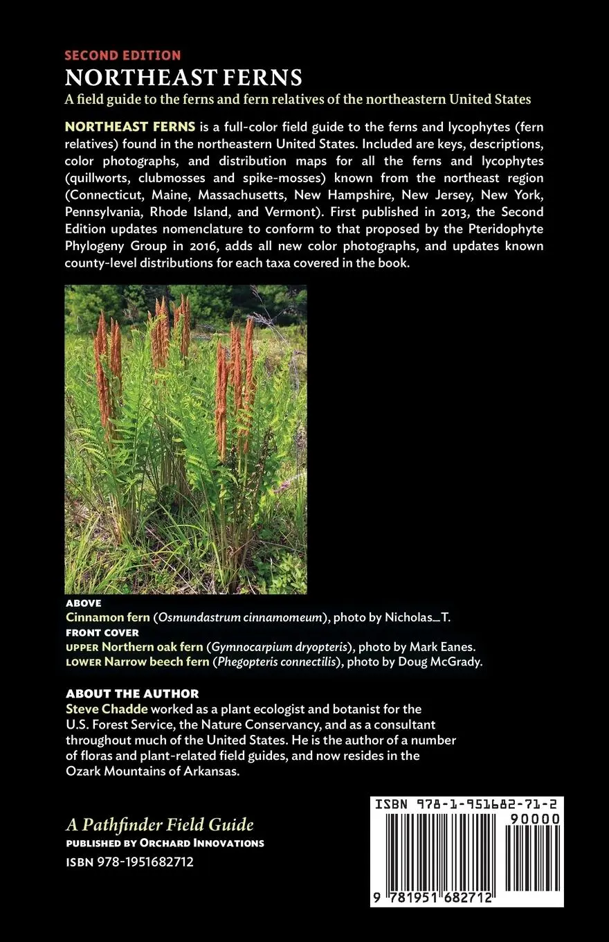 Rückseite: 9781951682712 | Northeast Ferns | Steve W Chadde | Taschenbuch | Englisch | 2023