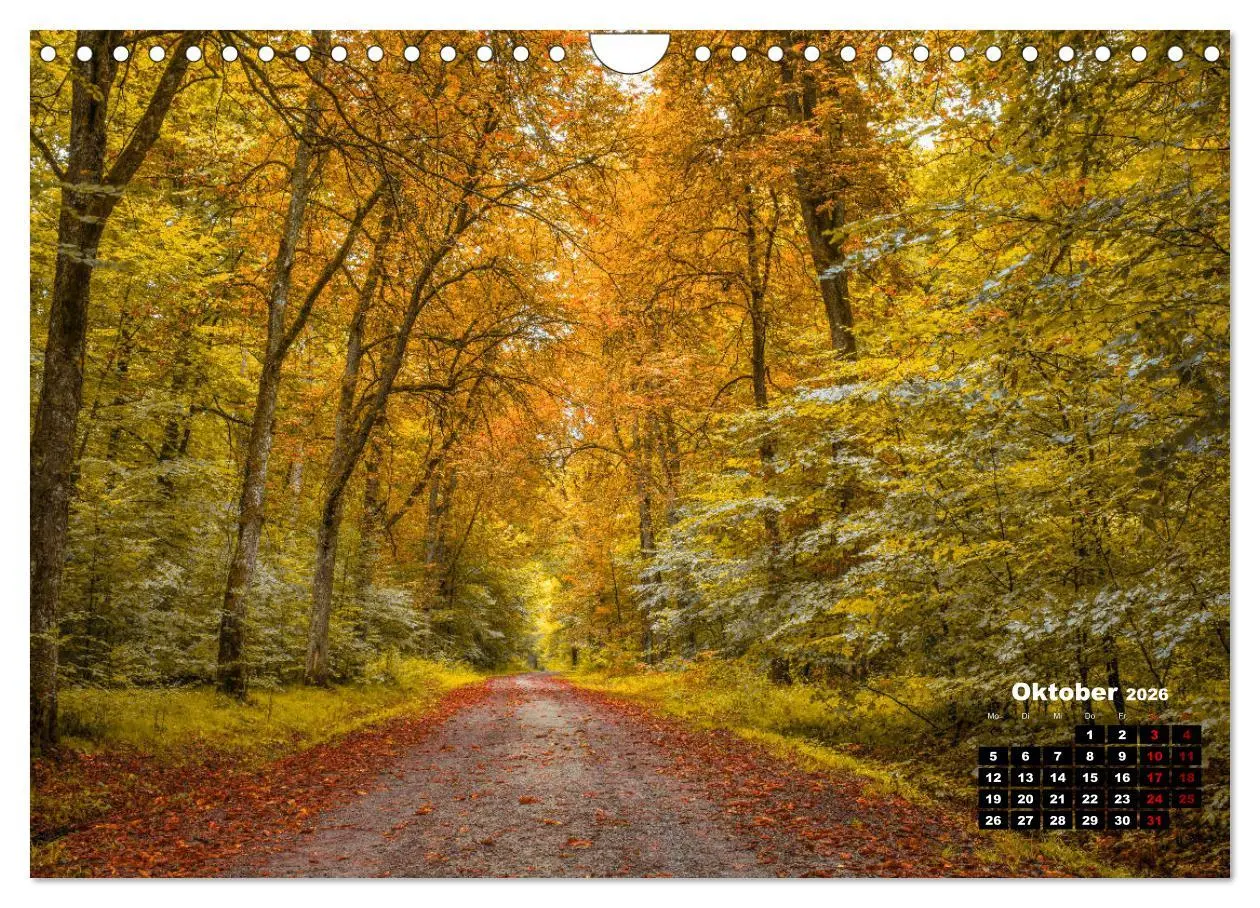 Bild: 9783457922712 | Rund um den Schönbuch (Wandkalender 2026 DIN A4 quer), CALVENDO...