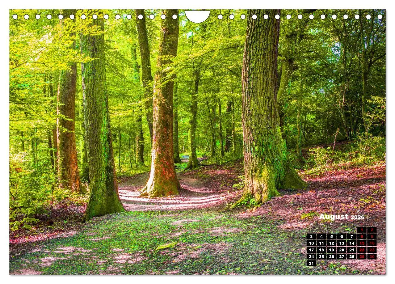 Bild: 9783457922712 | Rund um den Schönbuch (Wandkalender 2026 DIN A4 quer), CALVENDO...