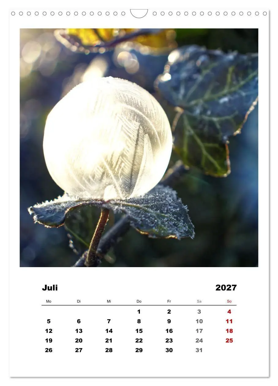 Bild: 9783569412712 | Frostige Seifenblasen (Wandkalender 2027 DIN A3 hoch), CALVENDO...