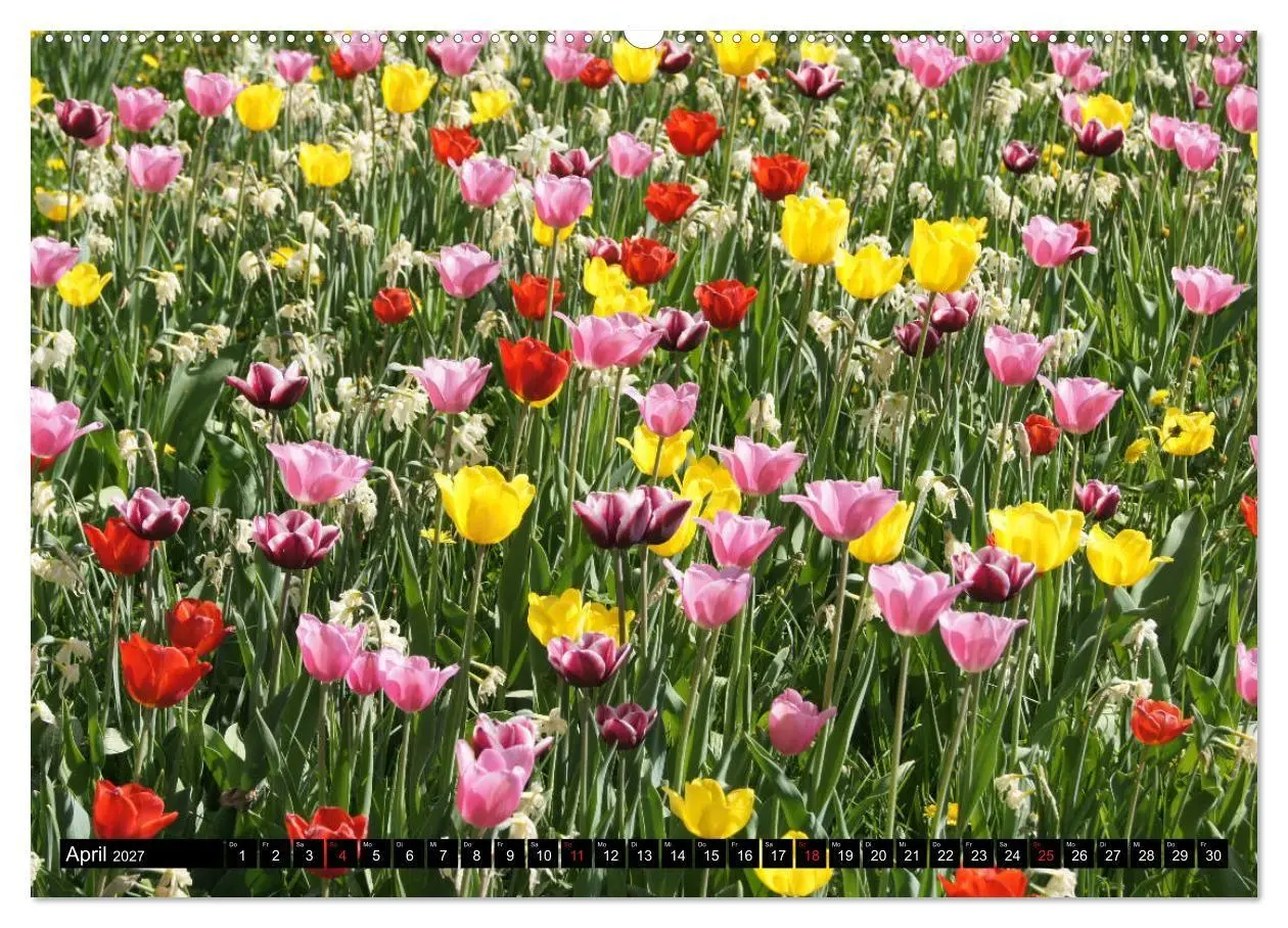 Bild: 9783569722712 | Heidenheim an der Brenz (hochwertiger Premium Wandkalender 2027 DIN...