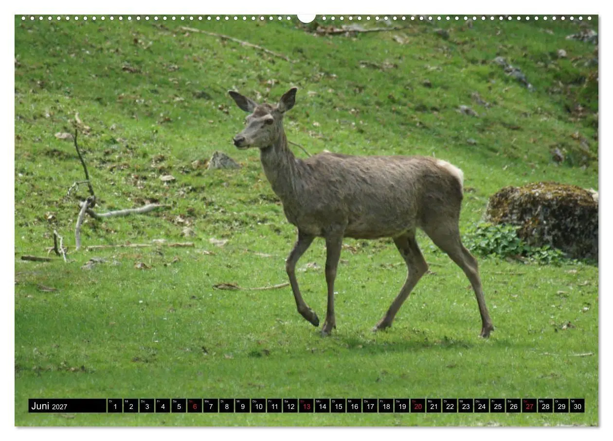 Bild: 9783569722712 | Heidenheim an der Brenz (hochwertiger Premium Wandkalender 2027 DIN...