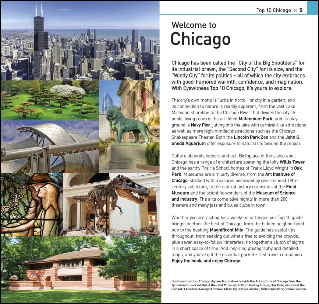 Bild: 9780241462812 | DK Top 10 Chicago | DK Travel | Taschenbuch | Englisch | 2024