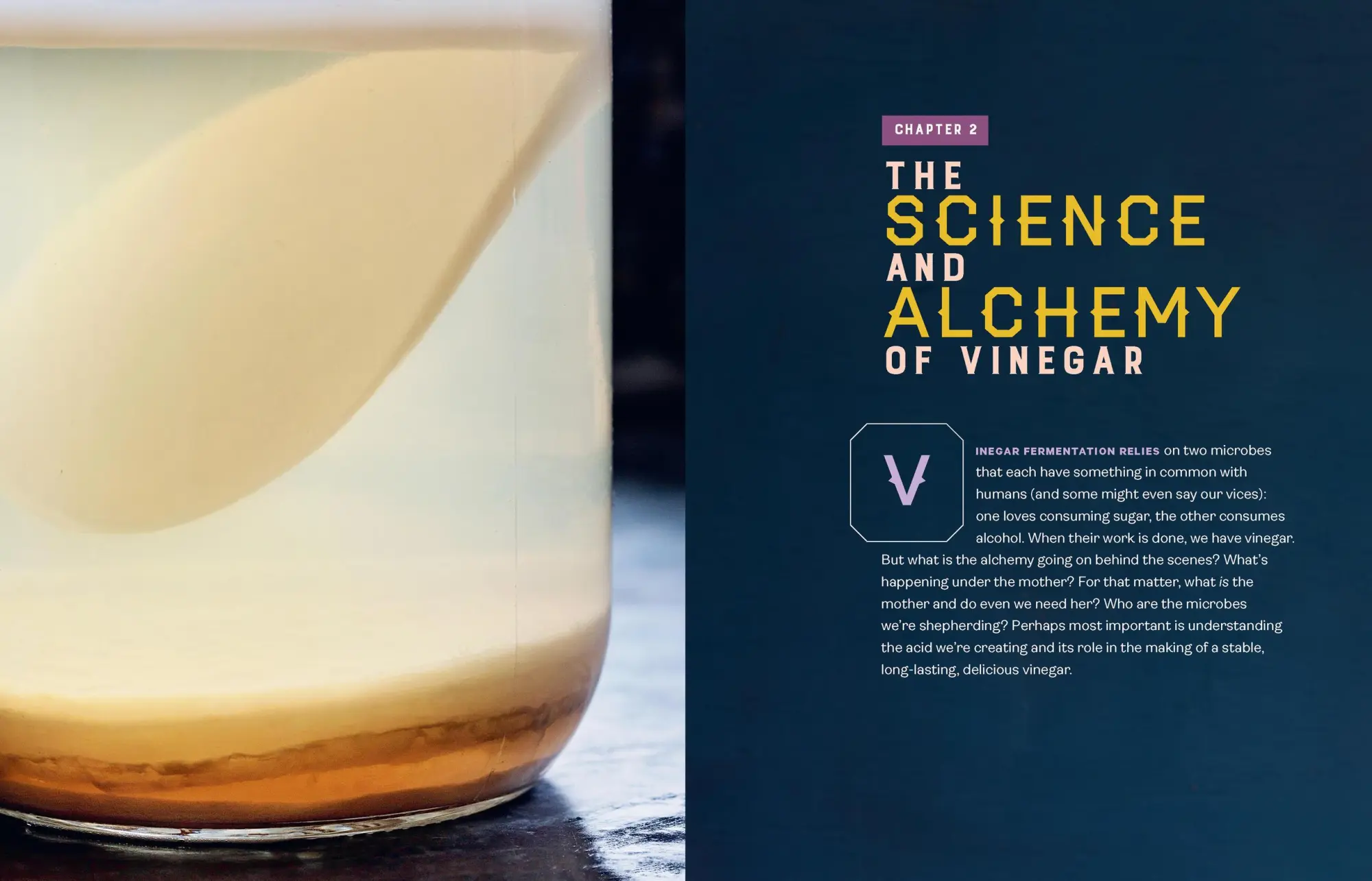Bild: 9781635862812 | Homebrewed Vinegar | Kirsten K Shockey | Taschenbuch | Englisch | 2021
