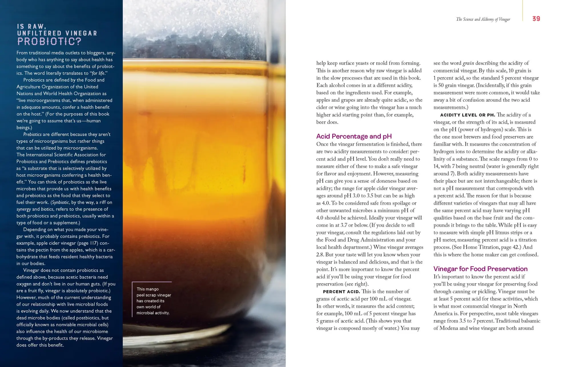 Bild: 9781635862812 | Homebrewed Vinegar | Kirsten K Shockey | Taschenbuch | Englisch | 2021