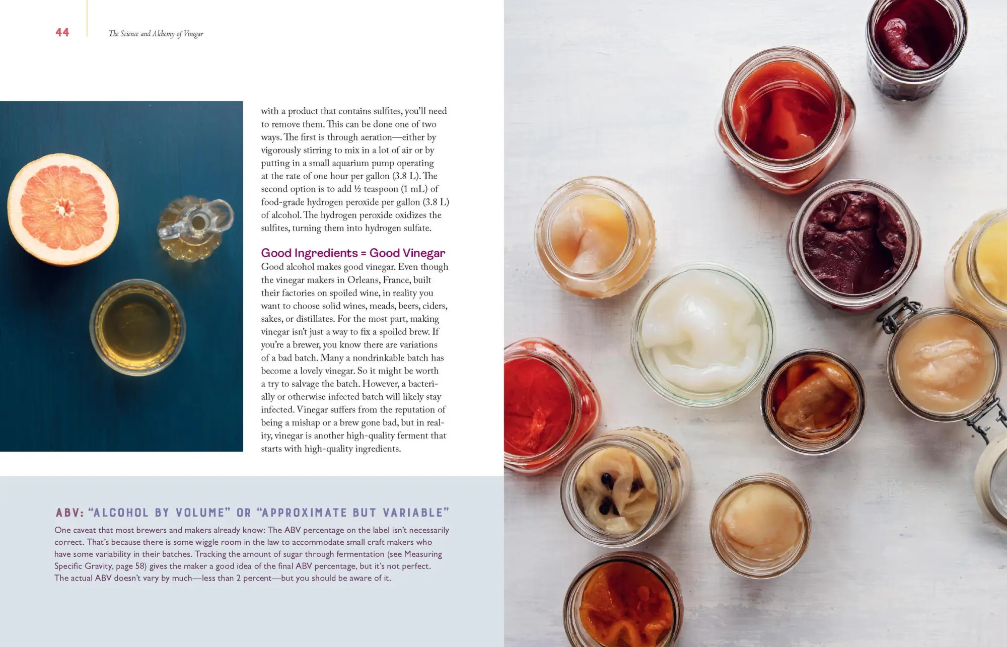 Bild: 9781635862812 | Homebrewed Vinegar | Kirsten K Shockey | Taschenbuch | Englisch | 2021