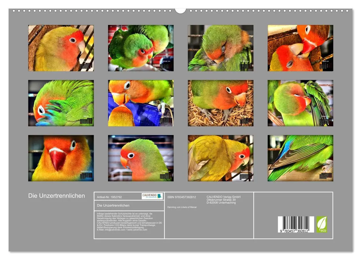 Bild: 9783457392812 | Die Unzertrennlichen (hochwertiger Premium Wandkalender 2026 DIN A2...