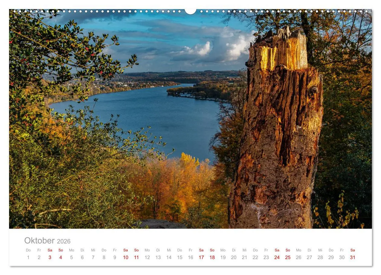 Bild: 9783457912812 | Buntes Essen 2026 (Wandkalender 2026 DIN A2 quer), CALVENDO...