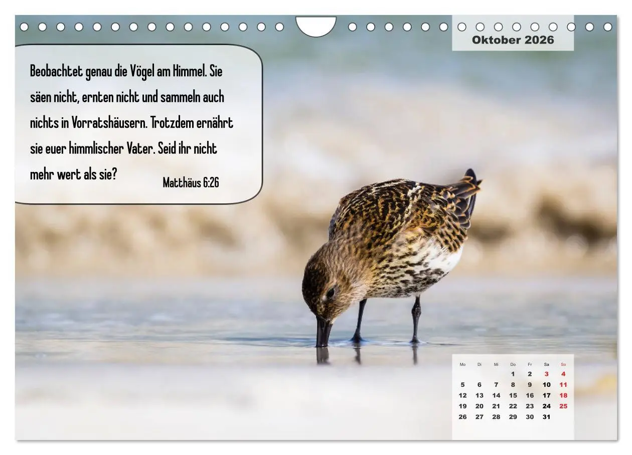 Bild: 9783457692912 | Bibelzitate, die Mut machen! (Wandkalender 2026 DIN A4 quer),...