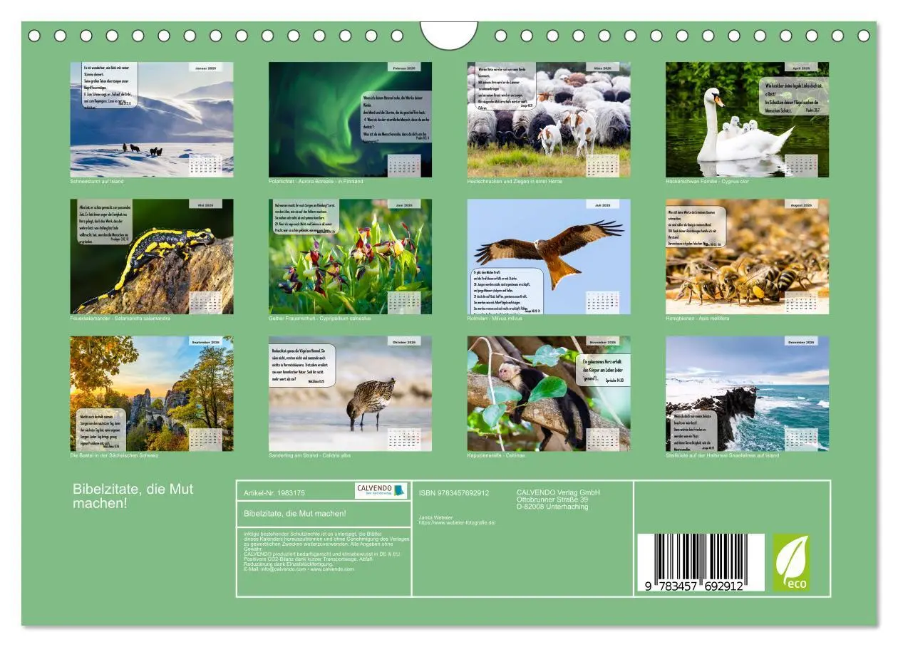 Bild: 9783457692912 | Bibelzitate, die Mut machen! (Wandkalender 2026 DIN A4 quer),...