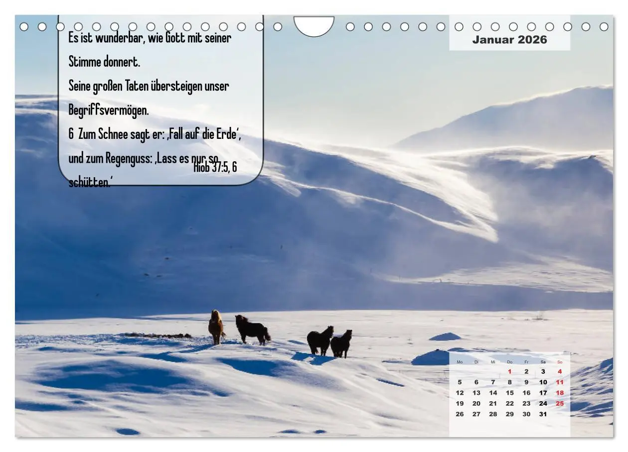 Bild: 9783457692912 | Bibelzitate, die Mut machen! (Wandkalender 2026 DIN A4 quer),...