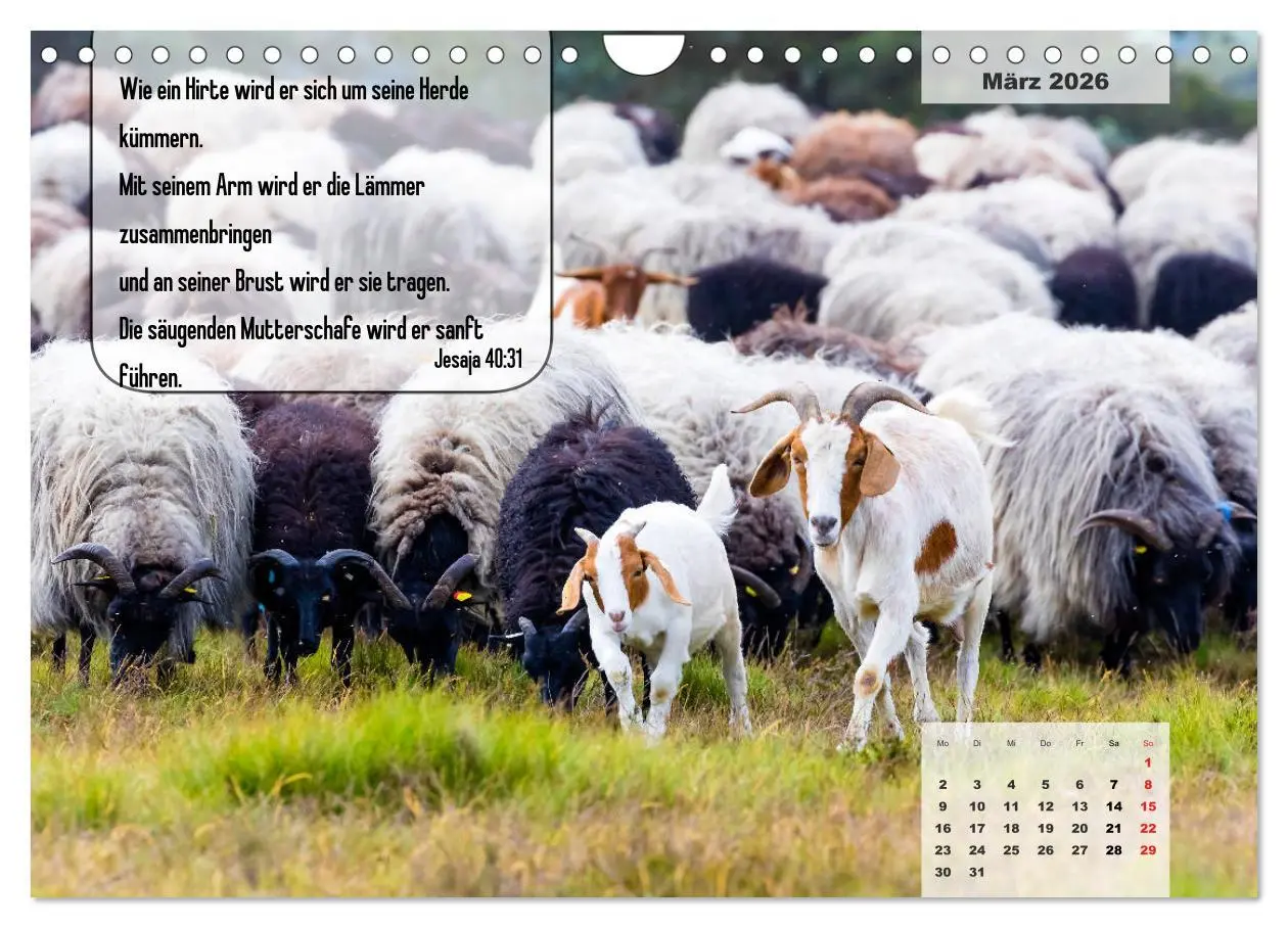 Bild: 9783457692912 | Bibelzitate, die Mut machen! (Wandkalender 2026 DIN A4 quer),...