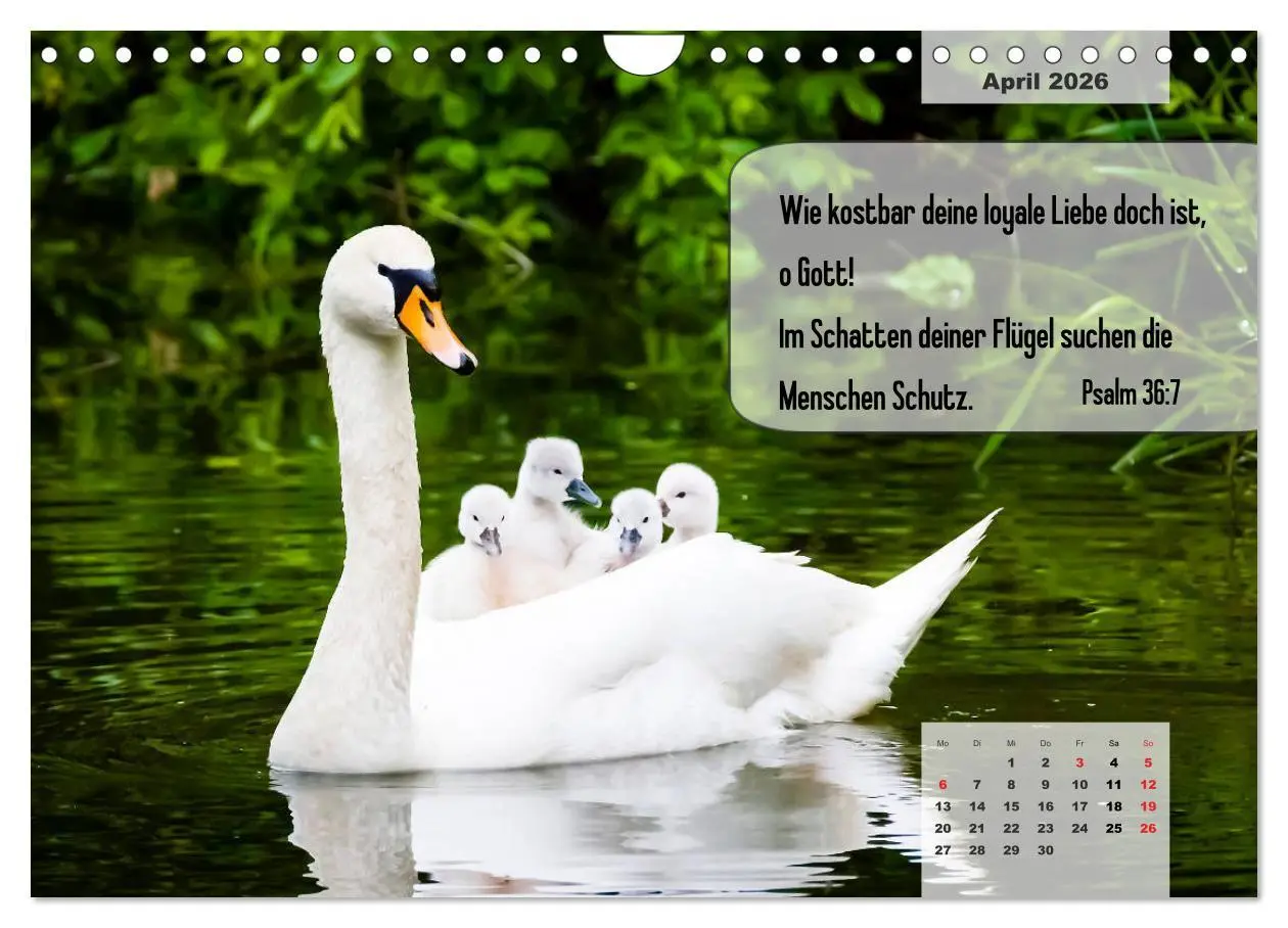 Bild: 9783457692912 | Bibelzitate, die Mut machen! (Wandkalender 2026 DIN A4 quer),...