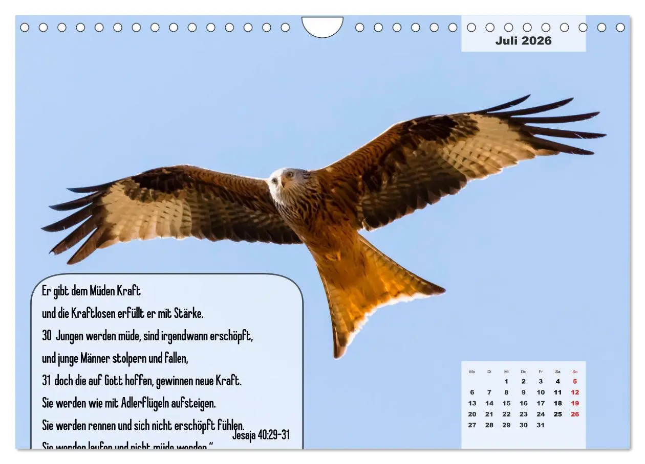 Bild: 9783457692912 | Bibelzitate, die Mut machen! (Wandkalender 2026 DIN A4 quer),...