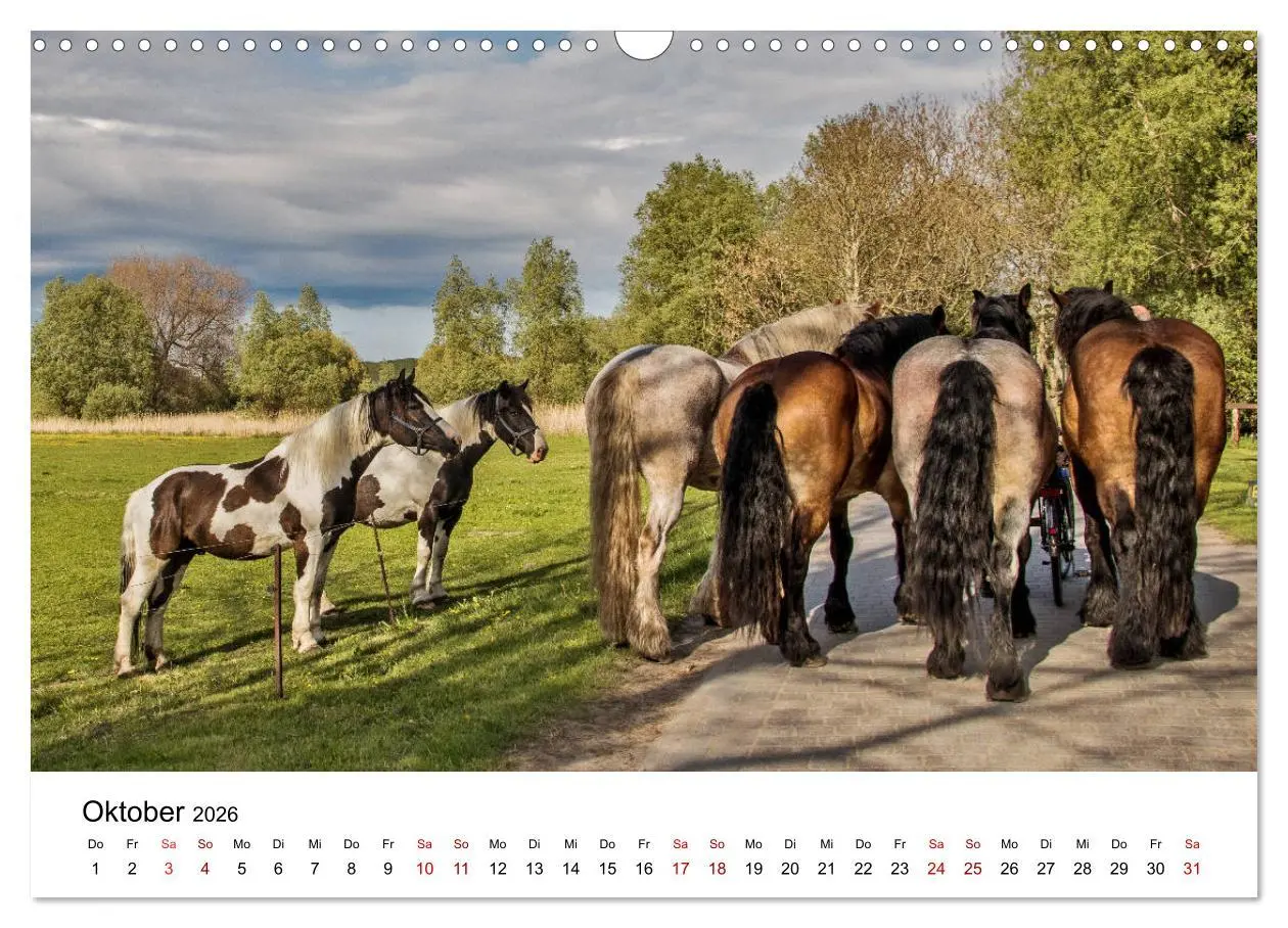 Bild: 9783457902912 | Ein Tag auf der Insel Hiddensee (Wandkalender 2026 DIN A3 quer),...