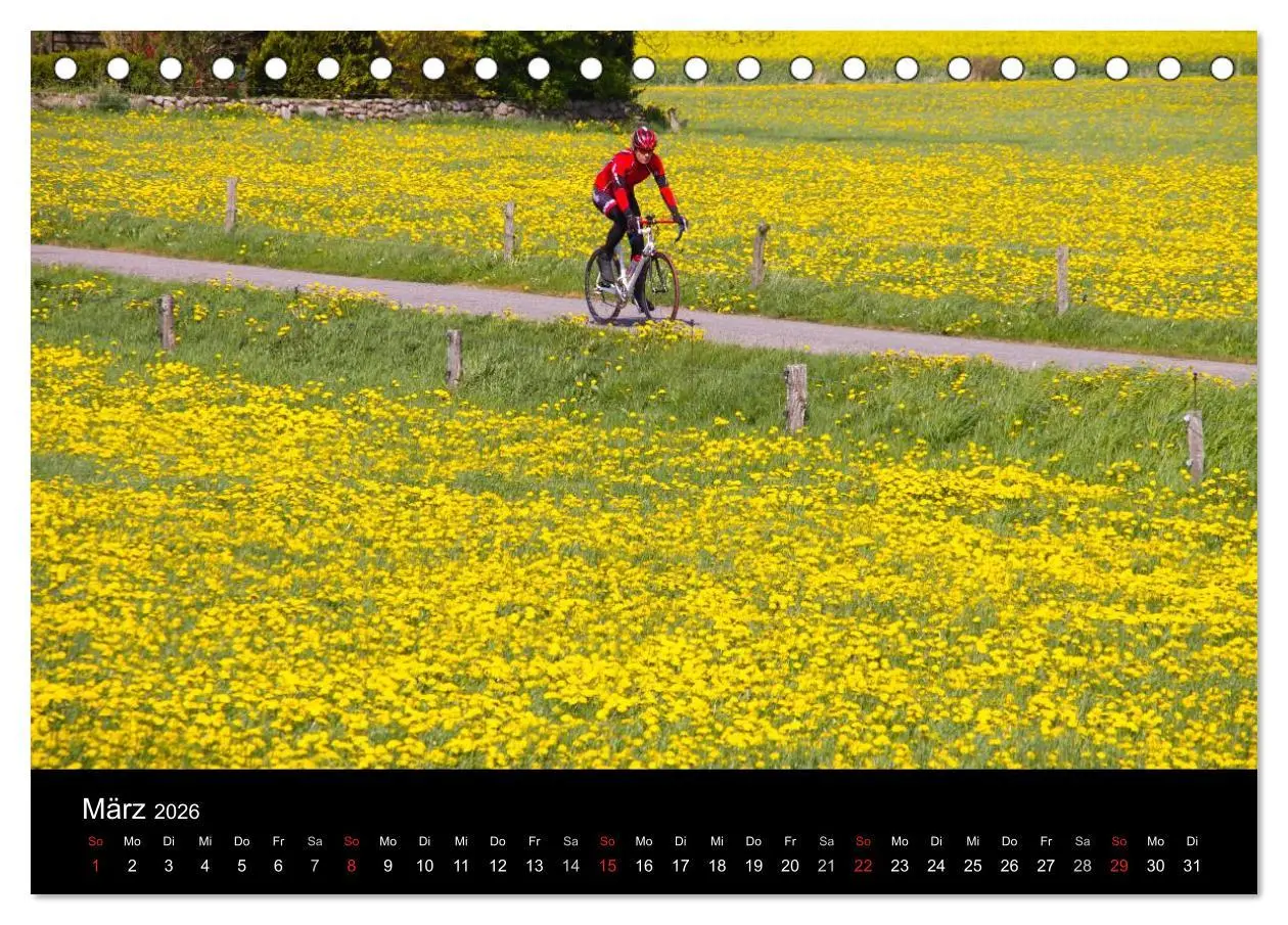 Bild: 9783516092912 | Roadbike Dreams. Traumstraßen in Europa (Tischkalender 2026 DIN A5...